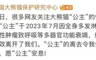 多器官功能衰竭 大熊猫“公主”和“融融”已离世！