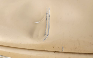 日本北海道一汽车遭熊袭击：引擎盖一巴掌被扇凹陷 ！