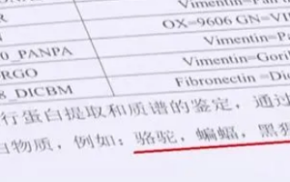 女子丰胸检出骆驼等动物源性成分 机构早在手术前3个月就被吊销执照！