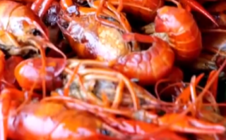 专家：建议一次食用小龙虾不超10只！