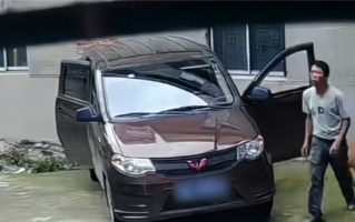 4只狗跑进五菱车内 “开车”撞墙后还有两声喇叭提醒!