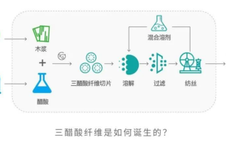 三醋酸和二醋酸有什么区别（三醋酸真的能对标真丝吗）