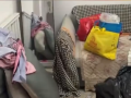 惊呆了！3个女孩2个月将房子住“包浆”跑路