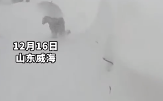 山东“雪窝子”不是白叫的 威海暴雪积雪厚度惊呆网友！