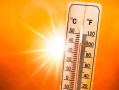 今年夏天热死蚊子 为何这么热：专家解释原因！