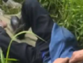 老人被五步蛇咬伤打16支血清保住脚趾 晚半个小时就有生命危险！
