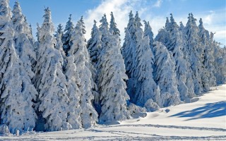 今日大雪 冷知识来袭：哪个节气雪最大 答案意想不到！