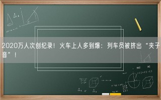 2020万人次创纪录！火车上人多到爆：列车员被挤出“夹子音”！