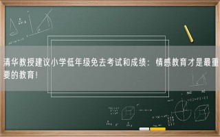 清华教授建议小学低年级免去考试和成绩：情感教育才是最重要的教育！