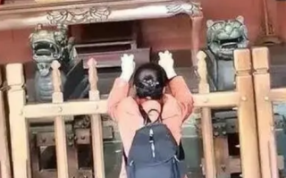 文旅局回应女子在开封府痛哭 背后真相是什么？