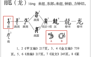 为什么汉字“龙”这样写：由简到繁再到简 最早的龙字原来长这样！