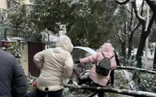 冻雨也挡不住打工人 湖北人上班堪比丛林探险！