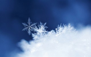 上海下雪了 气象局：冷锋过境撞上水汽 维持时间较短！