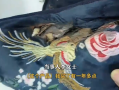 女子用加热艾草包热敷竟自燃起火：衣物、床垫被烧毁！