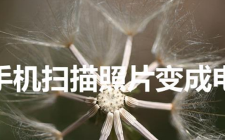 华为手机扫描照片变成电子版（华为手机图片怎么变成电子版）