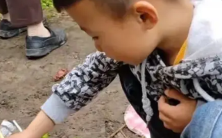 6岁孙子在爷爷坟前吃供品 爸爸回应网友争议！