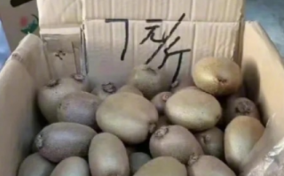 因为谐音卖不出去水果 “火聋果”“乡交”“草霉”！