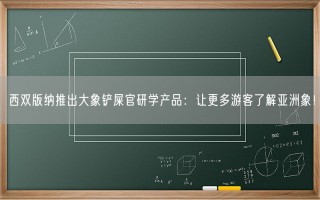 西双版纳推出大象铲屎官研学产品：让更多游客了解亚洲象！