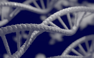 人类有望攻克艾滋病了！荷兰科学家成功清除已感染的HIV病毒！