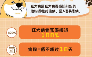 几年前曾被狗咬 男子狂犬病发死亡：世卫推荐“十日观察法”！