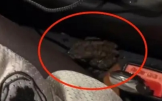 浙江龙泉现强对流天气 网友实拍：车辆积水进蛤蟆！