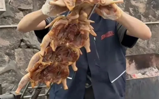 烤鸡少年称使用合法调味料 专家建议尽量少用或不用肉宝王 !