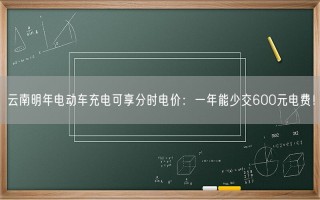 云南明年电动车充电可享分时电价：一年能少交600元电费！