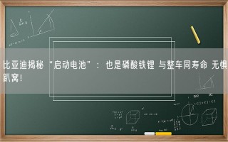 比亚迪揭秘“启动电池”：也是磷酸铁锂 与整车同寿命 无惧趴窝！