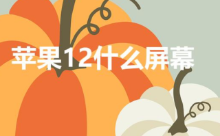 苹果12什么屏幕（iphone12屏幕材质）