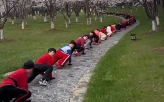 公园惊现“爬行锻炼大军”：动作难度高且整齐划一!