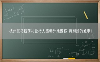 杭州斑马线前礼让行人感动外地游客 特别好的城市！