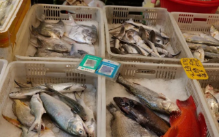 新一轮伏季休渔期即将来临 厦门一年轻妈妈买下2700多元海鲜！