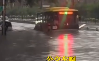 哈尔滨暴雨公交车变“公交船” “这不是司机 这是船长”！