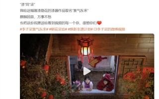 李子柒更新了 微念回应：李子柒目前没有和微念合作！