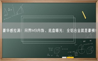 豪华感拉满！问界M9内饰、底盘曝光：全铝合金就是豪横！