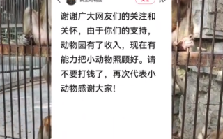 20元门票近十年未涨价!深山动物园请网友不要打钱了! 20元门票近十年未涨价!深山动物园请网友不要打钱了!