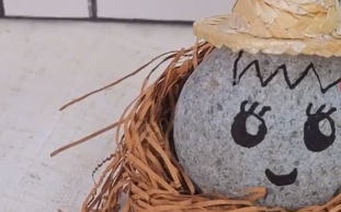 韩国年轻人迷上养石头：把小石头当作倾诉对象!