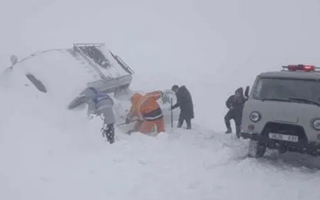 50年不遇暴风雪！蒙古国超300万头牲畜死亡：我国已提供紧急援助！
