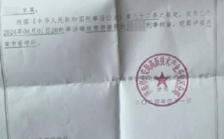 大学生与醉汉冲突被刑拘案提级办理 案件调查情况将适时公布！