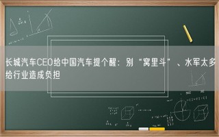 长城汽车CEO给中国汽车提个醒：别“窝里斗”、水军太多给行业造成负担