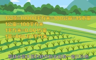 平方米换算成亩怎么算（平方米与亩的换算方法）