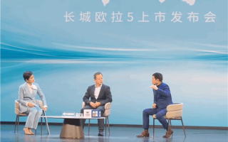 魏建军：隐藏式门把手风阻降了0.001但增重8公斤 后来我们就不用了 ！