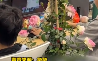 男生在工位上养了一整株月季 同事们直呼：有被治愈到！