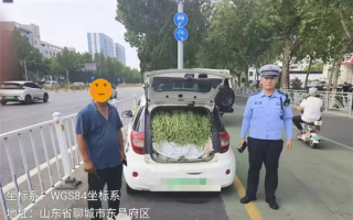 山东“豆橛子”又爆仓了 A00级小汽车塞满豆角 轮胎都压瘪了！