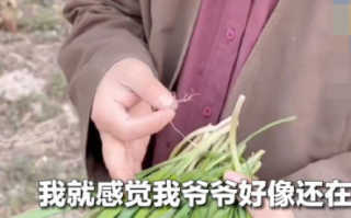 意外吃到去世10年爷爷种的韭菜 孙女当场泪崩！