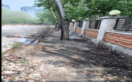 手欠！男子吸烟时点燃柳絮引发火灾被拘10日