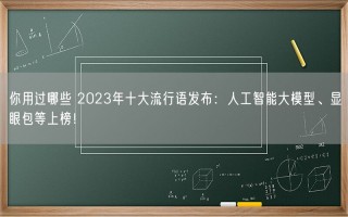 你用过哪些 2023年十大流行语发布：人工智能大模型、显眼包等上榜！