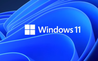 德国一州政府宣布迁移到Linux！官员吐苦水：Windows对硬件要求太高了！