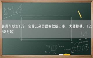 普通车型加1万！宝骏云朵灵犀智驾版上市：大疆提供、12.58万起！