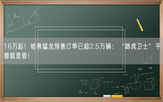 16万起！哈弗猛龙预售订单已超2.5万辆：“路虎卫士”平替就是香！